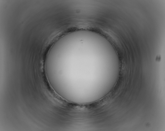 X0000093260502200709261621