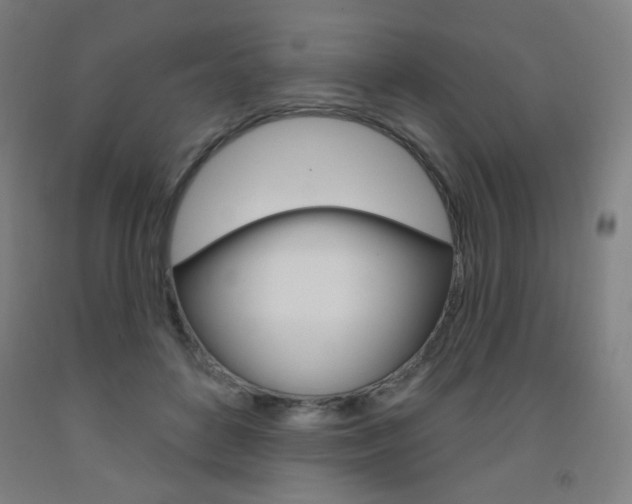 X0000093260504200709261621