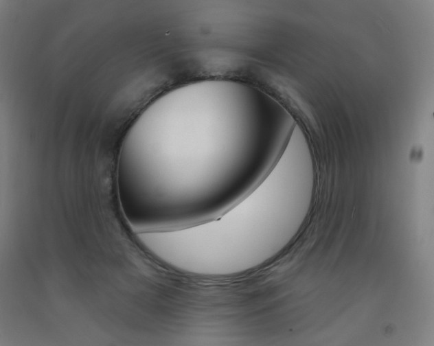 X0000093260505200709261621