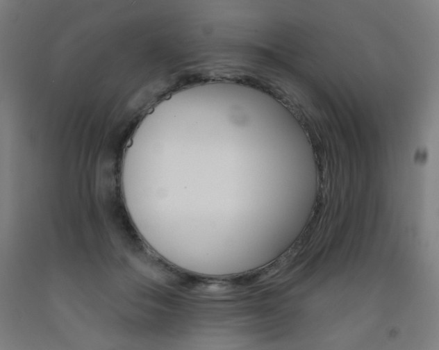 X0000093260506200709261621