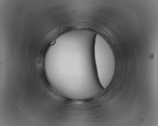 X0000093260507200709261621