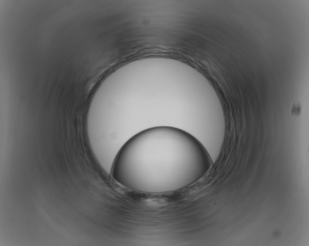 X0000093260508200709261621