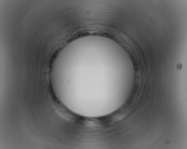 X0000093260510200709261621
