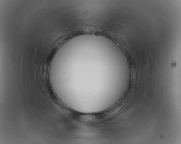 X0000093260511200709261621