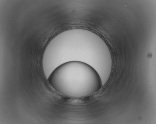 X0000093260512200709261621