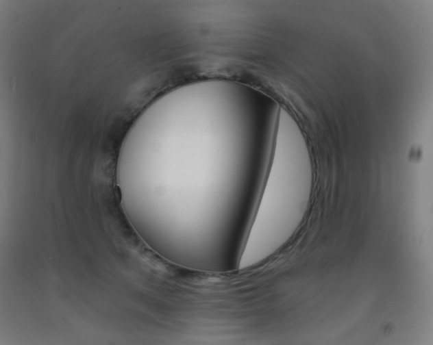 X0000093260513200709261621