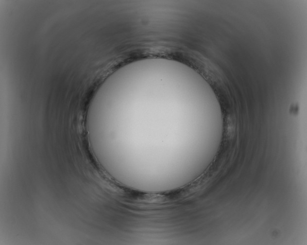 X0000093260514200709261621