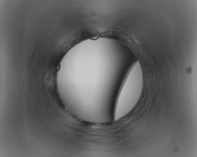 X0000093260515200709261621