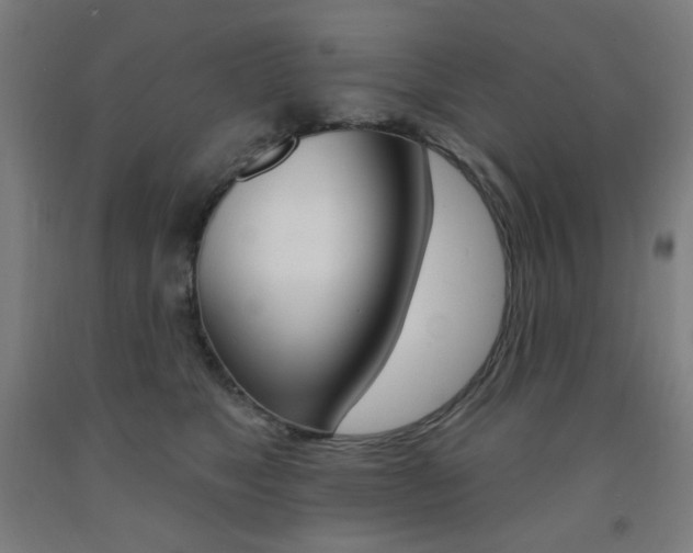 X0000093260517200709261621