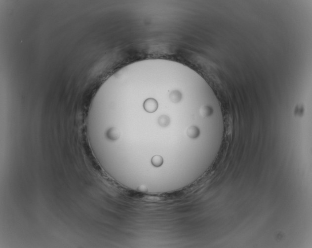 X0000093260519200709261621