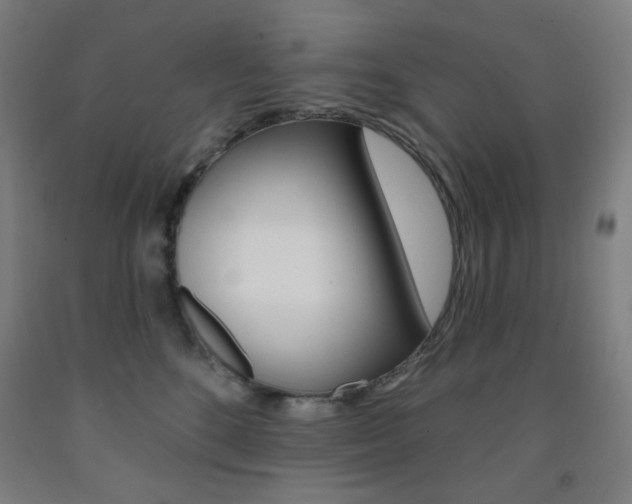 X0000093260520200709261621