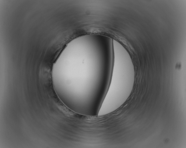 X0000093260521200709261621