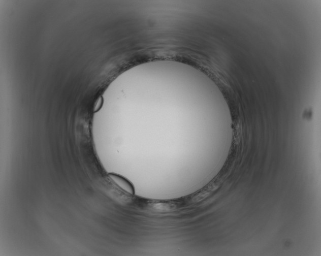 X0000093260522200709261621