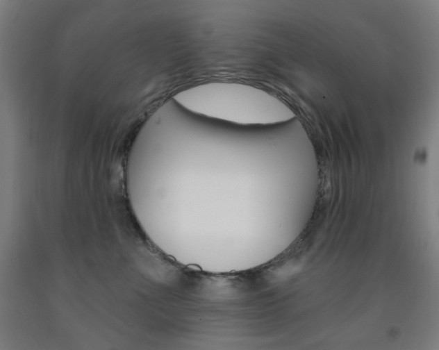 X0000093260523200709261621