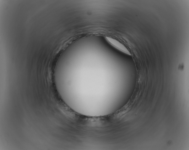X0000093260524200709261621