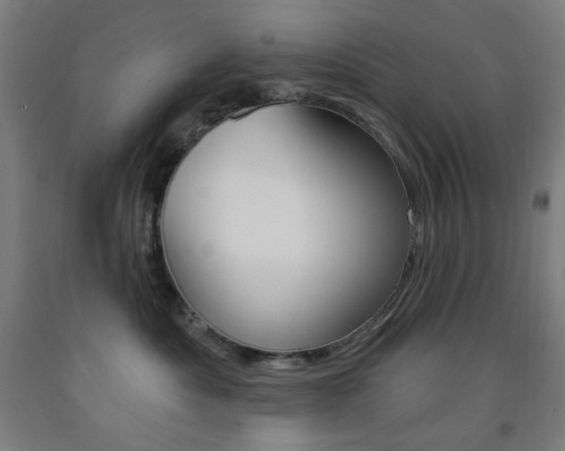 X0000093260525200709261621