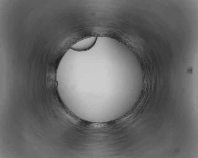 X0000093260526200709261621