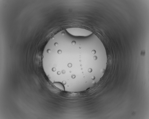 X0000093260527200709261621
