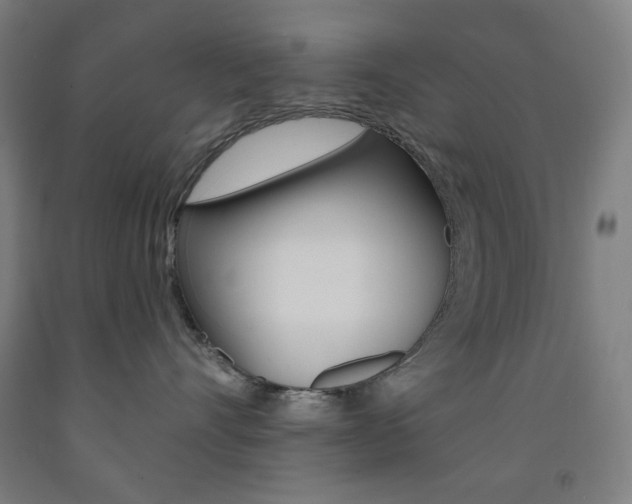 X0000093260528200709261621
