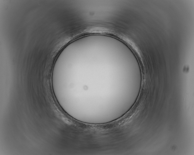 X0000093260529200709261620