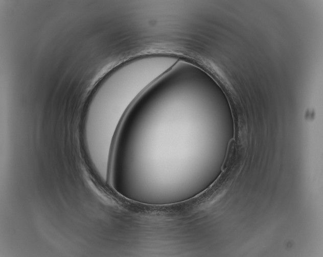 X0000093260530200709261620