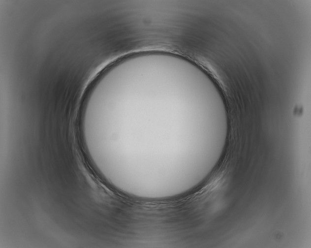 X0000093260532200709261620