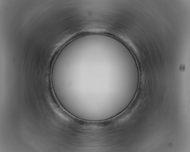 X0000093260533200709261620