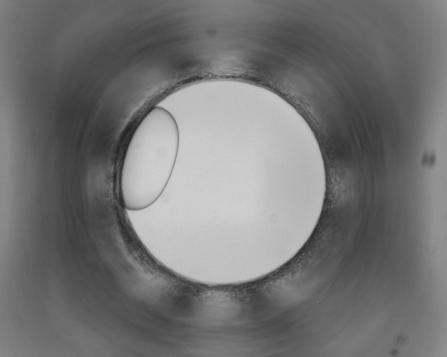 X0000093260534200709261620