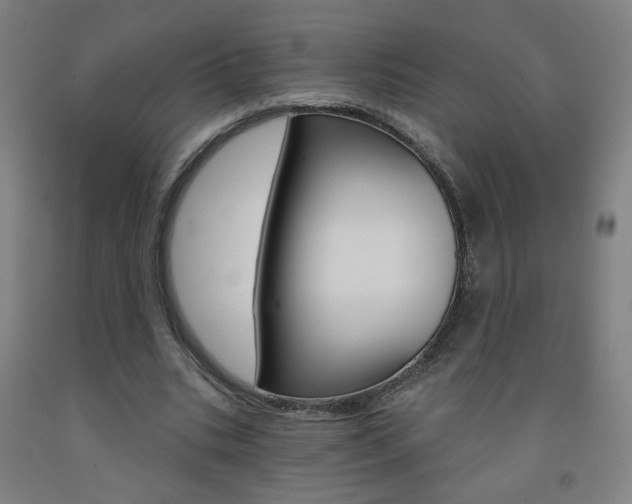 X0000093260535200709261620