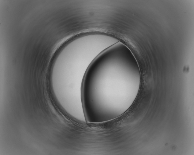 X0000093260536200709261620