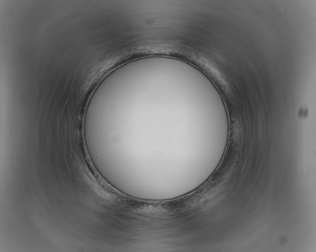 X0000093260537200709261620