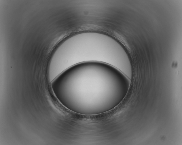 X0000093260538200709261620