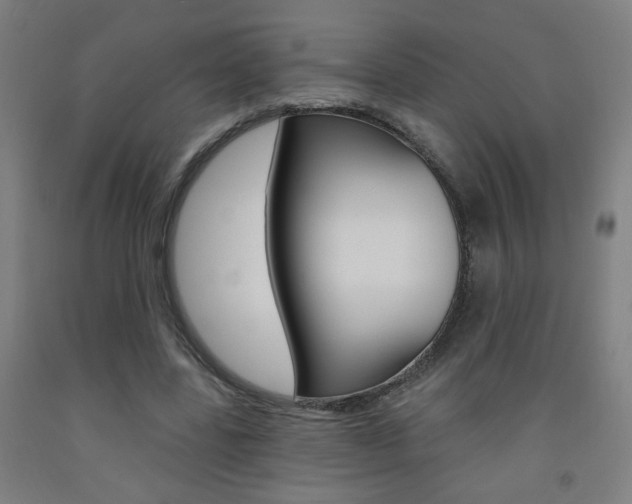 X0000093260539200709261620