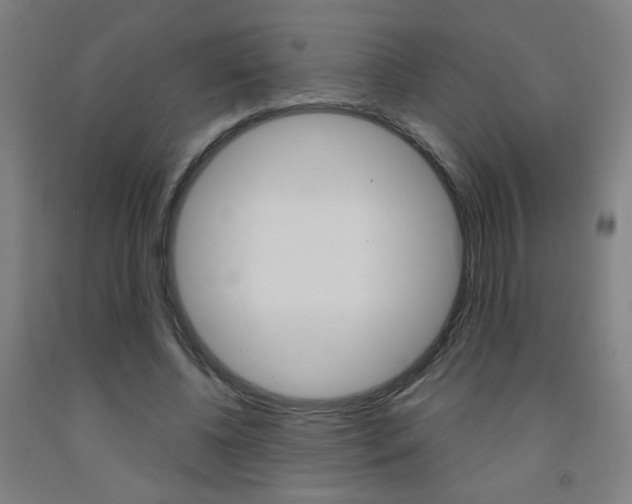X0000093260540200709261620