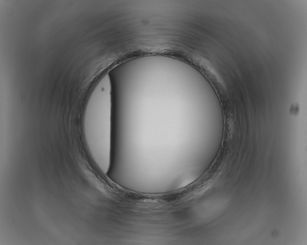 X0000093260541200709261620