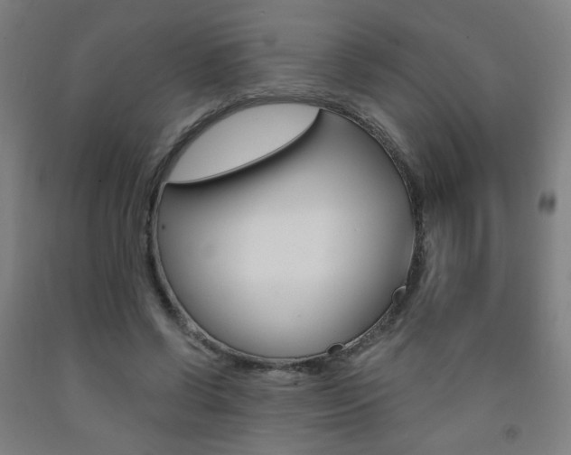 X0000093260542200709261620