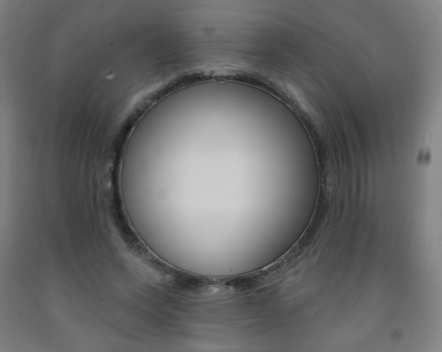 X0000093260543200709261620