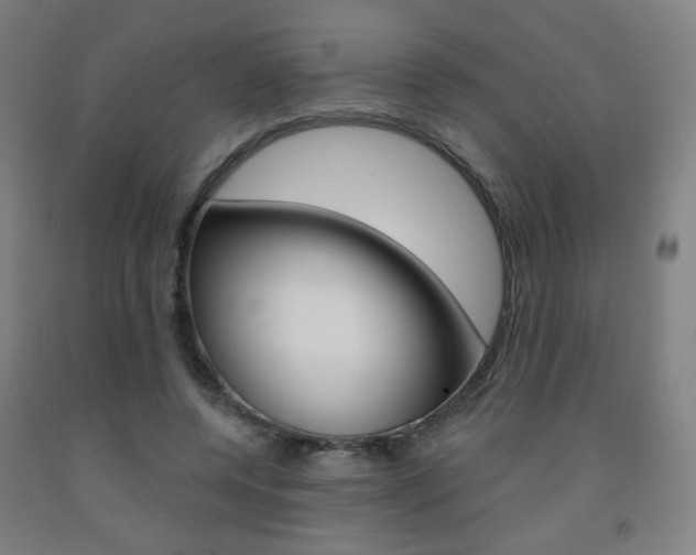X0000093260544200709261620