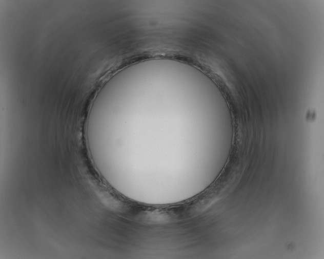 X0000093260545200709261620