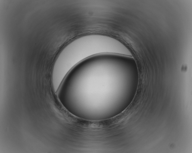 X0000093260546200709261620