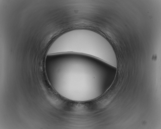 X0000093260547200709261620