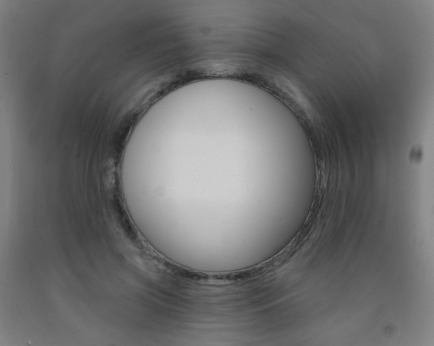 X0000093260549200709261620