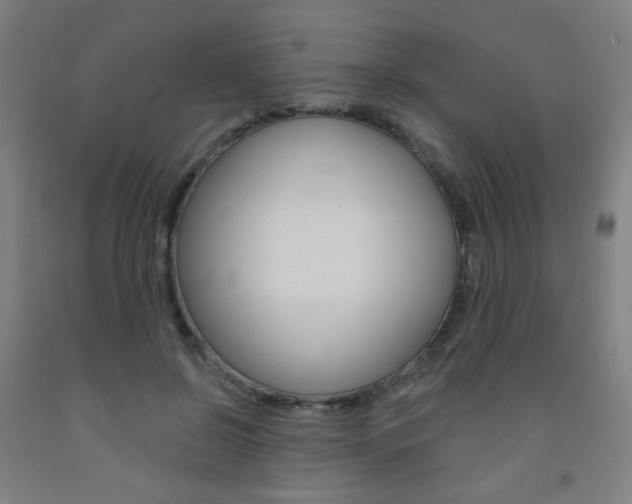 X0000093260550200709261620
