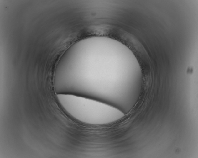 X0000093260553200709261620