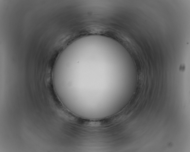 X0000093260554200709261620