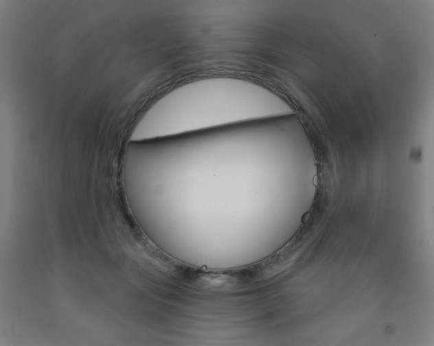 X0000093260557200709261620