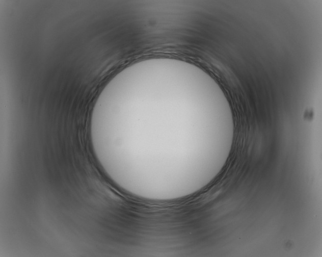 X0000093260558200709261620