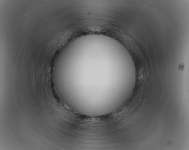 X0000093260559200709261620