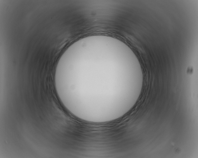 X0000093260560200709261620