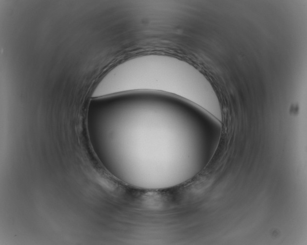 X0000093260562200709261620